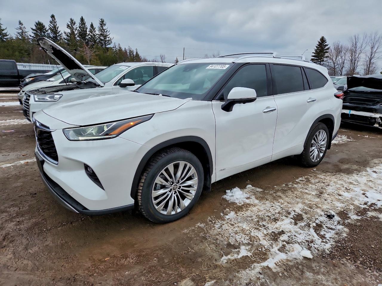 TOYOTA HIGHLANDER 2025