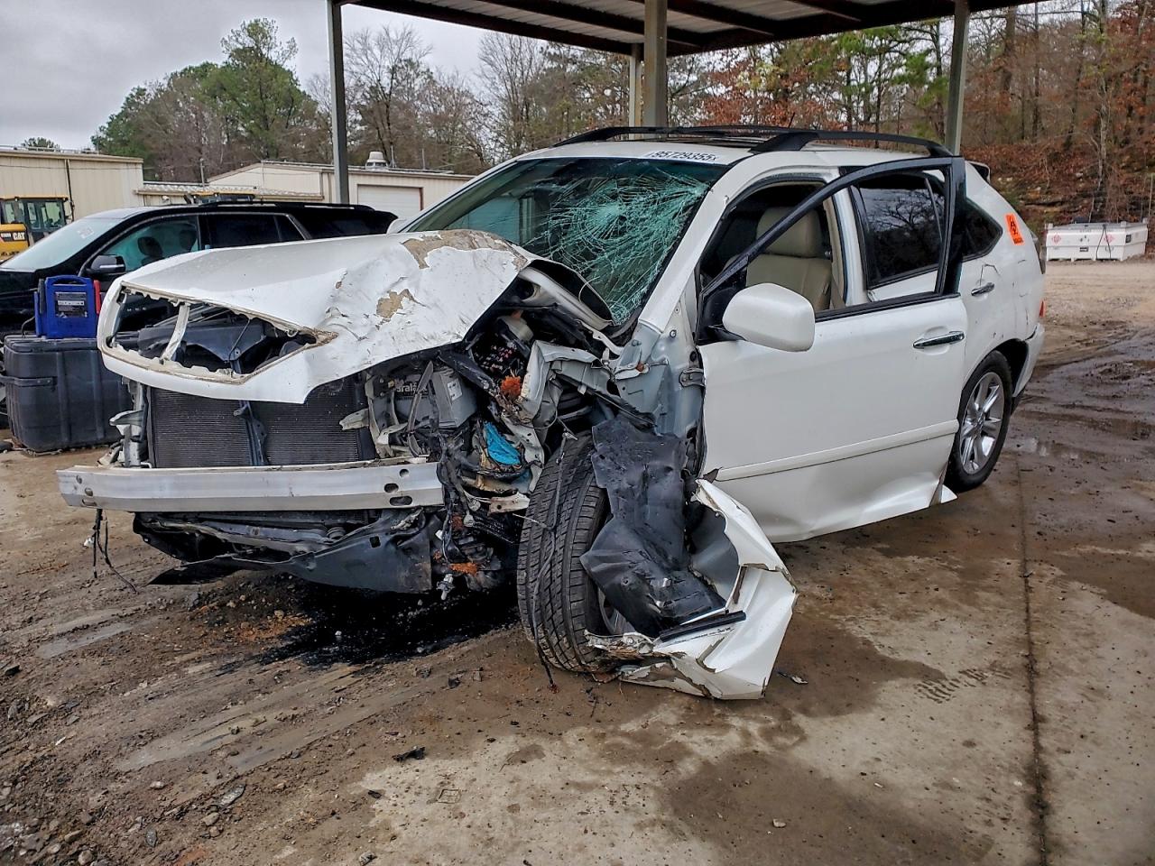 LEXUS RX 2009