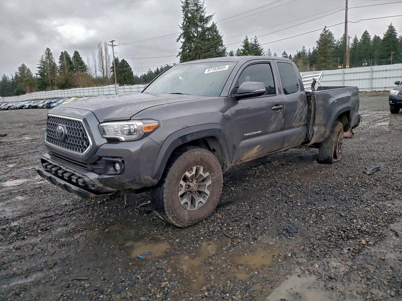TOYOTA TACOMA ACC 2019