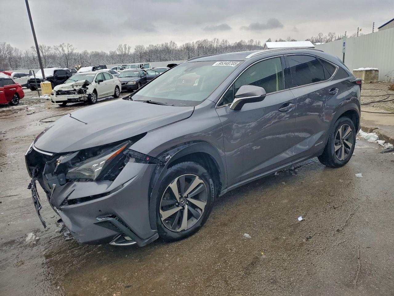 LEXUS NX 2018