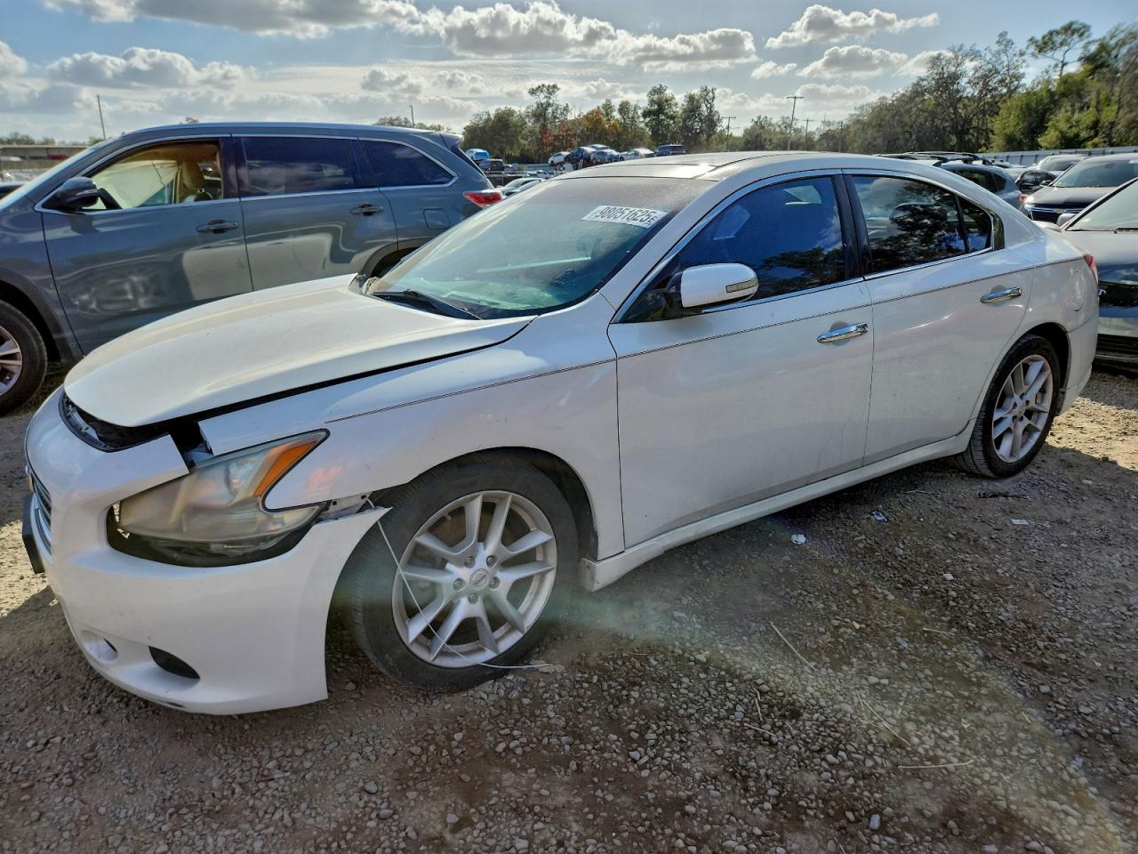 NISSAN MAXIMA 2010