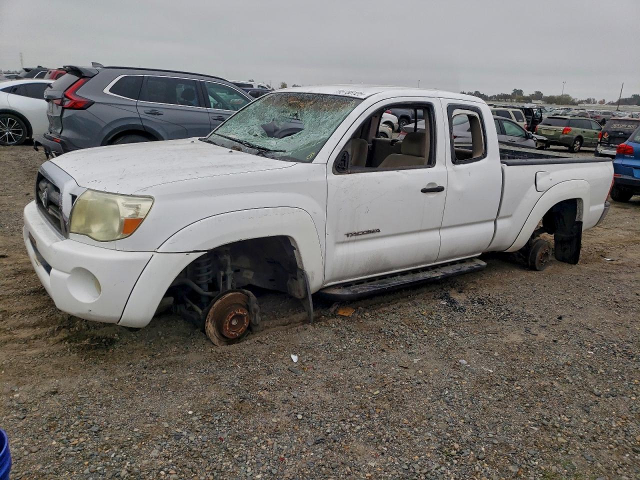 TOYOTA TACOMA 2005
