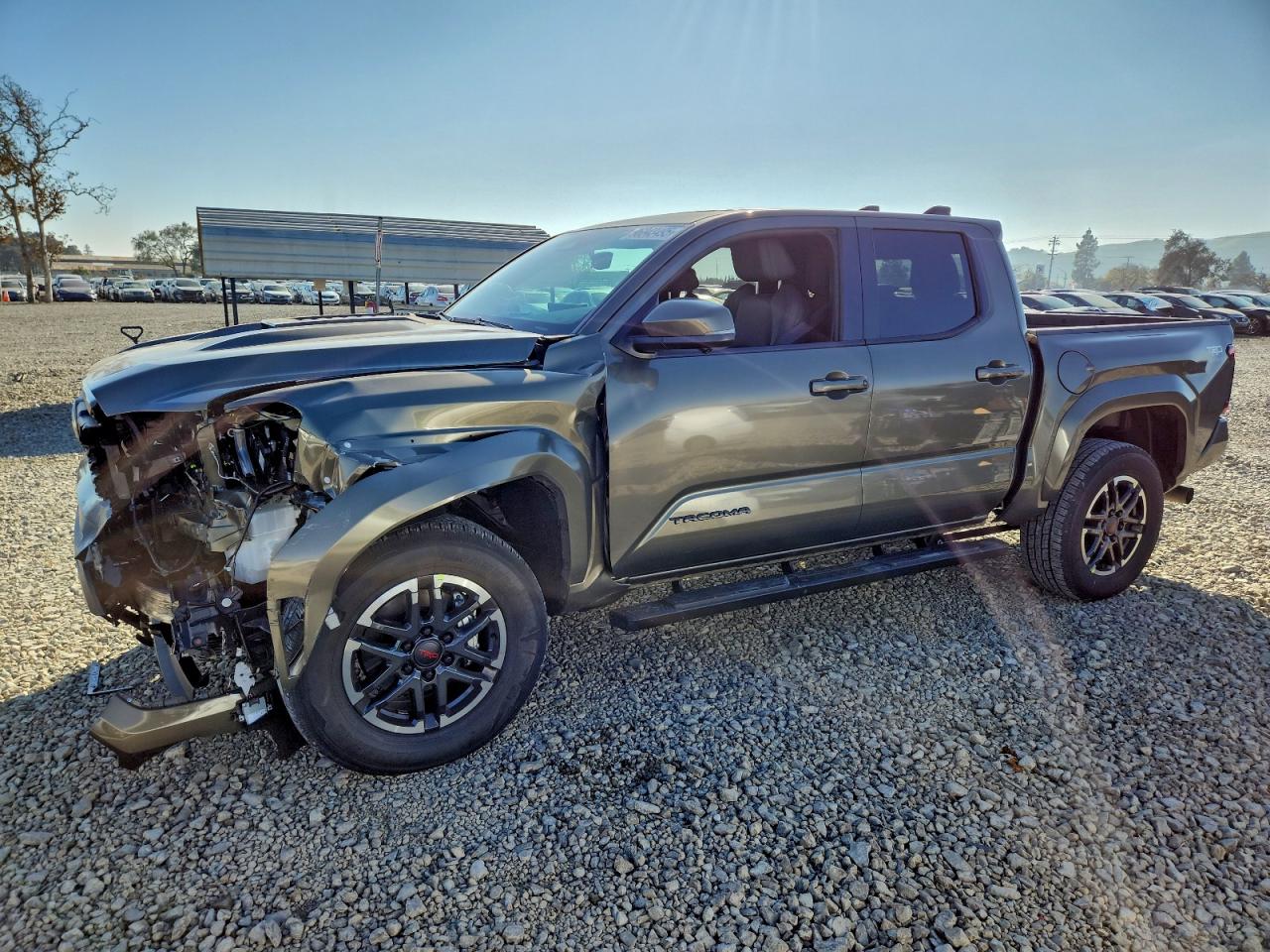TOYOTA TACOMA 2025
