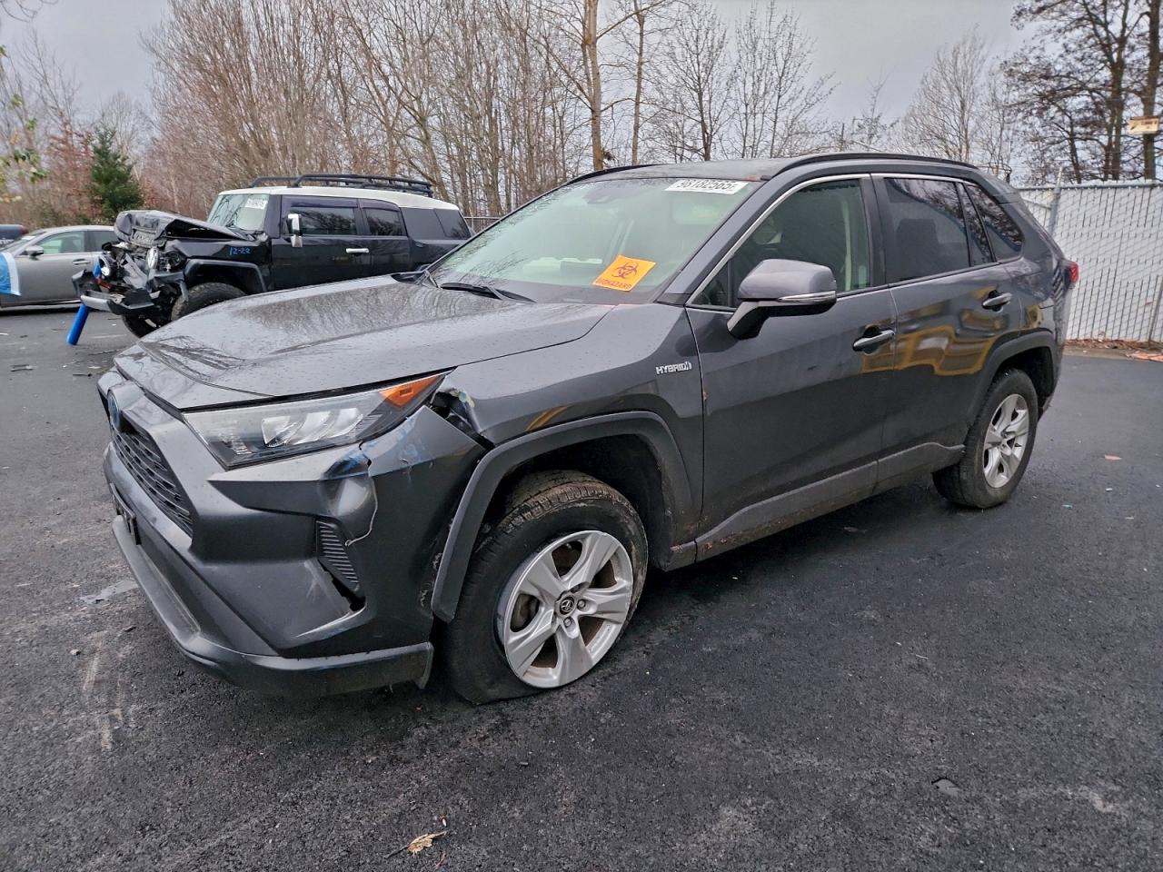 TOYOTA RAV4 LE 2019