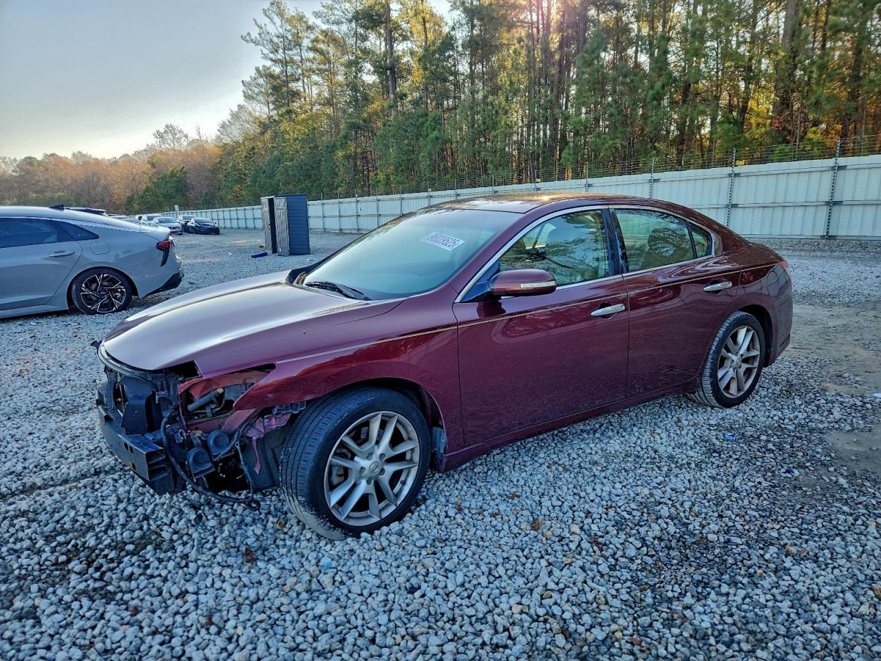 NISSAN MAXIMA 2010