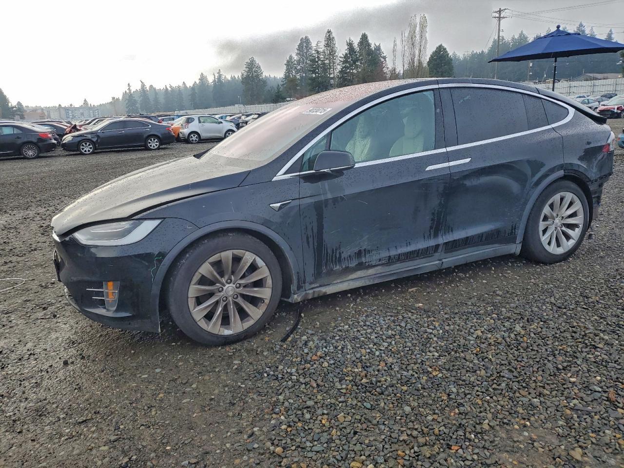 TESLA MODEL X 2019