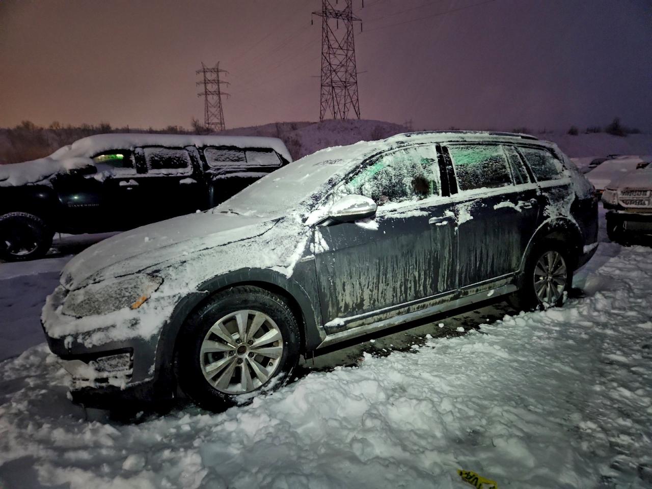 VOLKSWAGEN GOLF ALLTR 2017