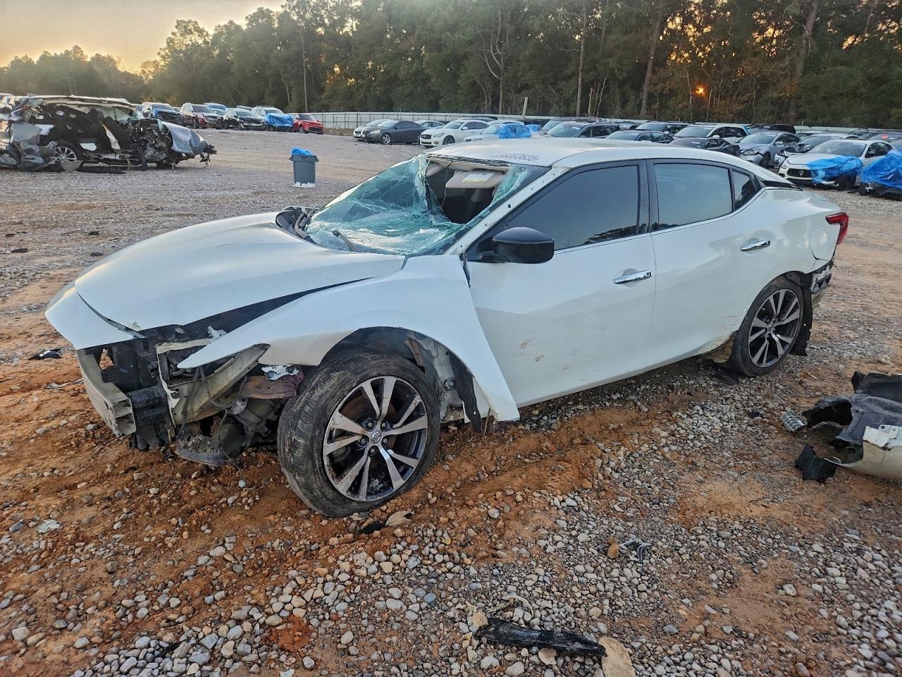 NISSAN MAXIMA 2017