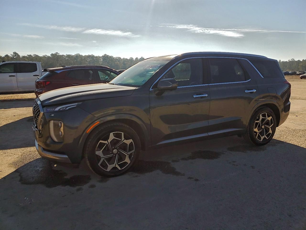 HYUNDAI PALISADE C 2022