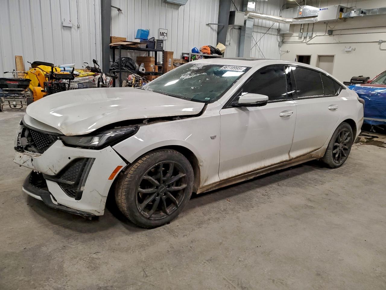 CADILLAC CT5 SPORT 2024