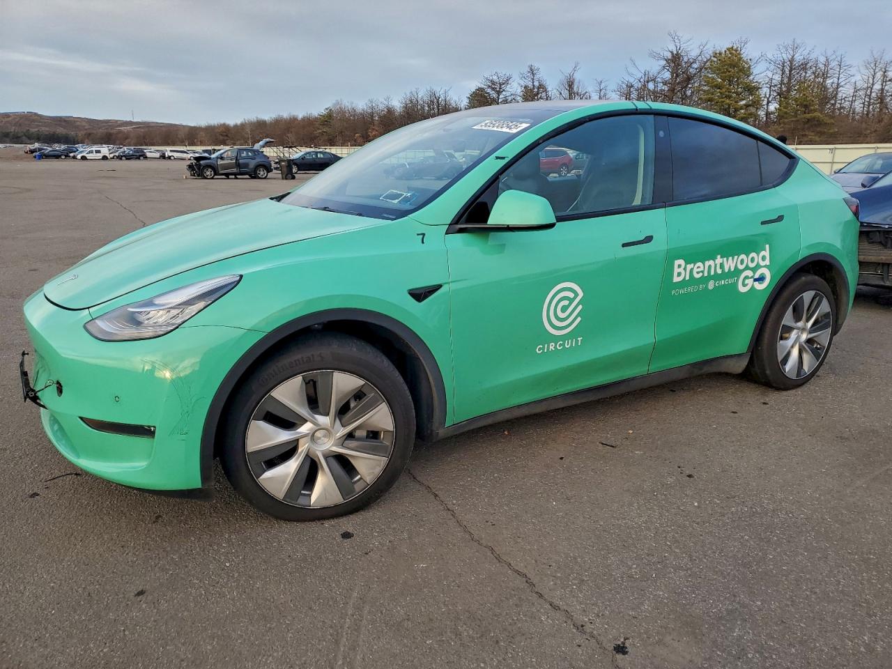 TESLA MODEL Y 2021