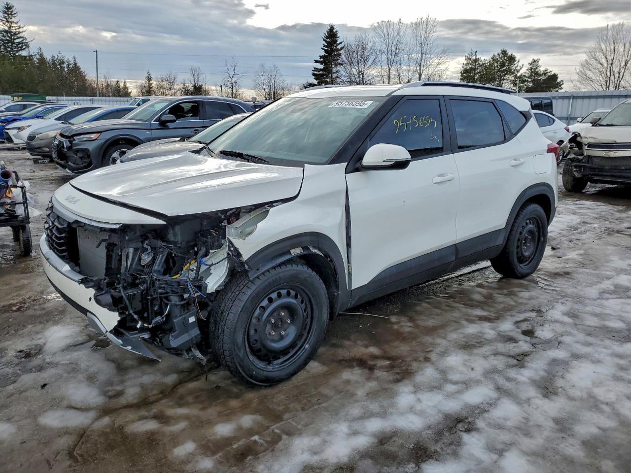 KIA SELTOS LX 2024