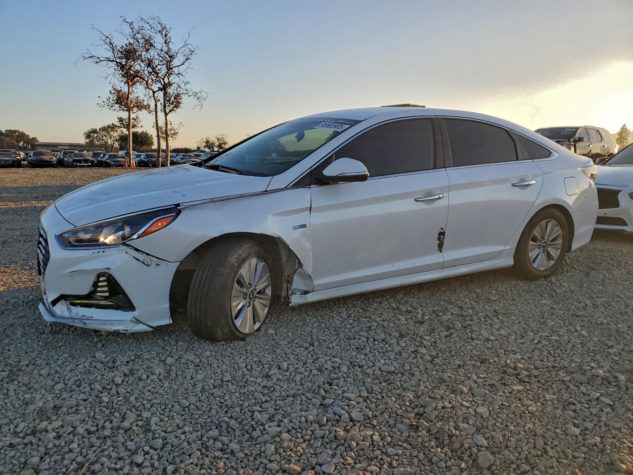 HYUNDAI SONATA 2019