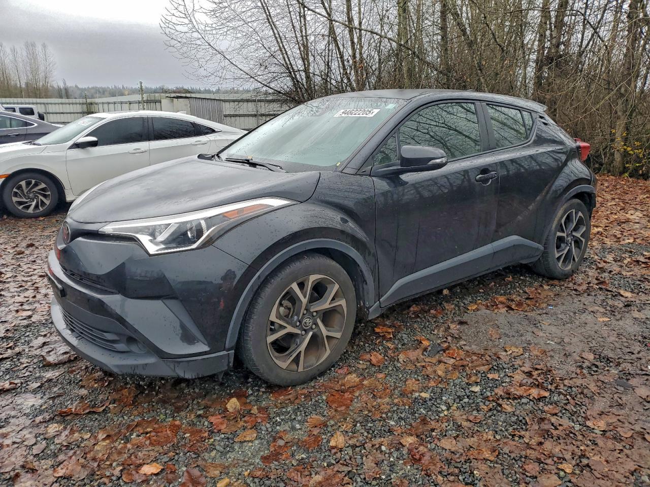 TOYOTA C-HR XLE 2019