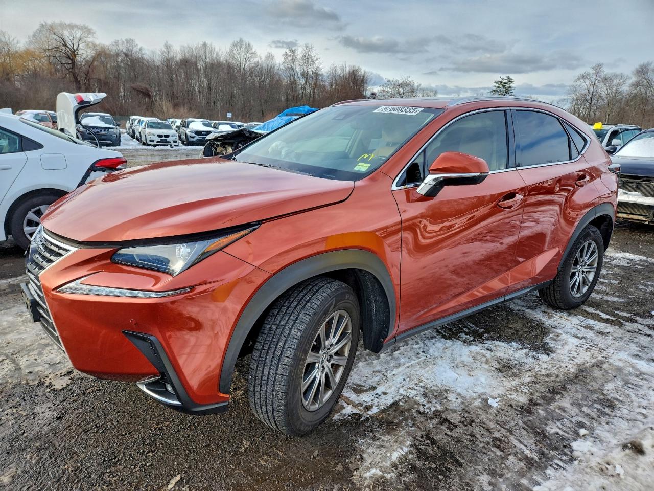 LEXUS NX 2020