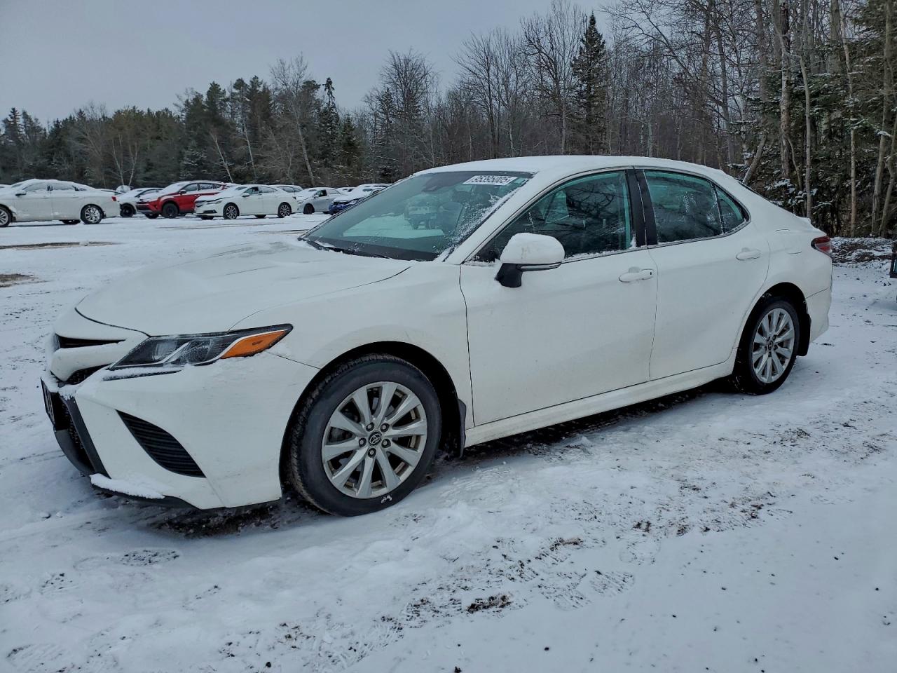 TOYOTA CAMRY SE 2020
