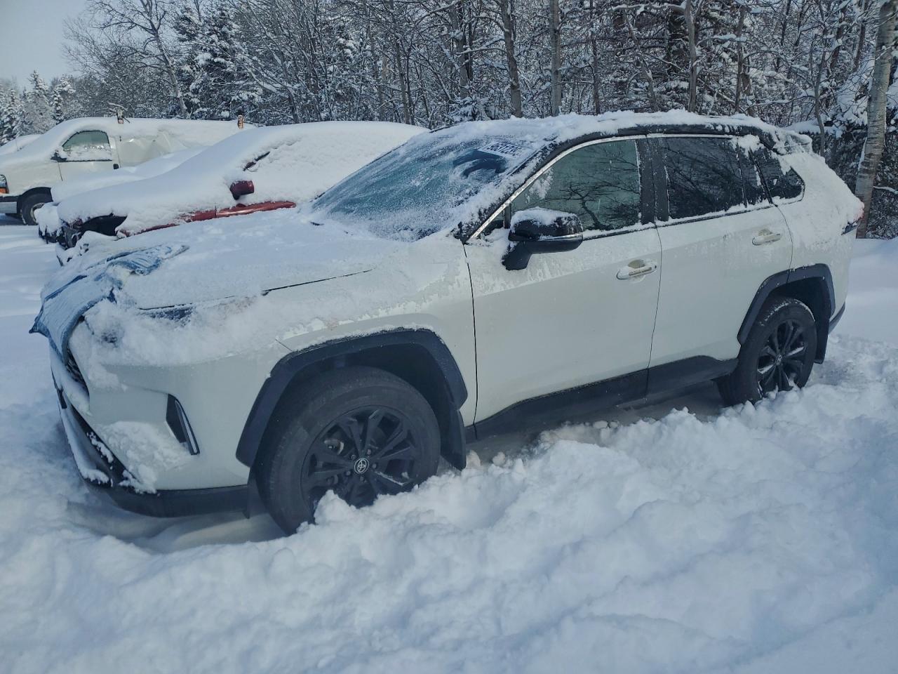 TOYOTA RAV4 XSE 2023