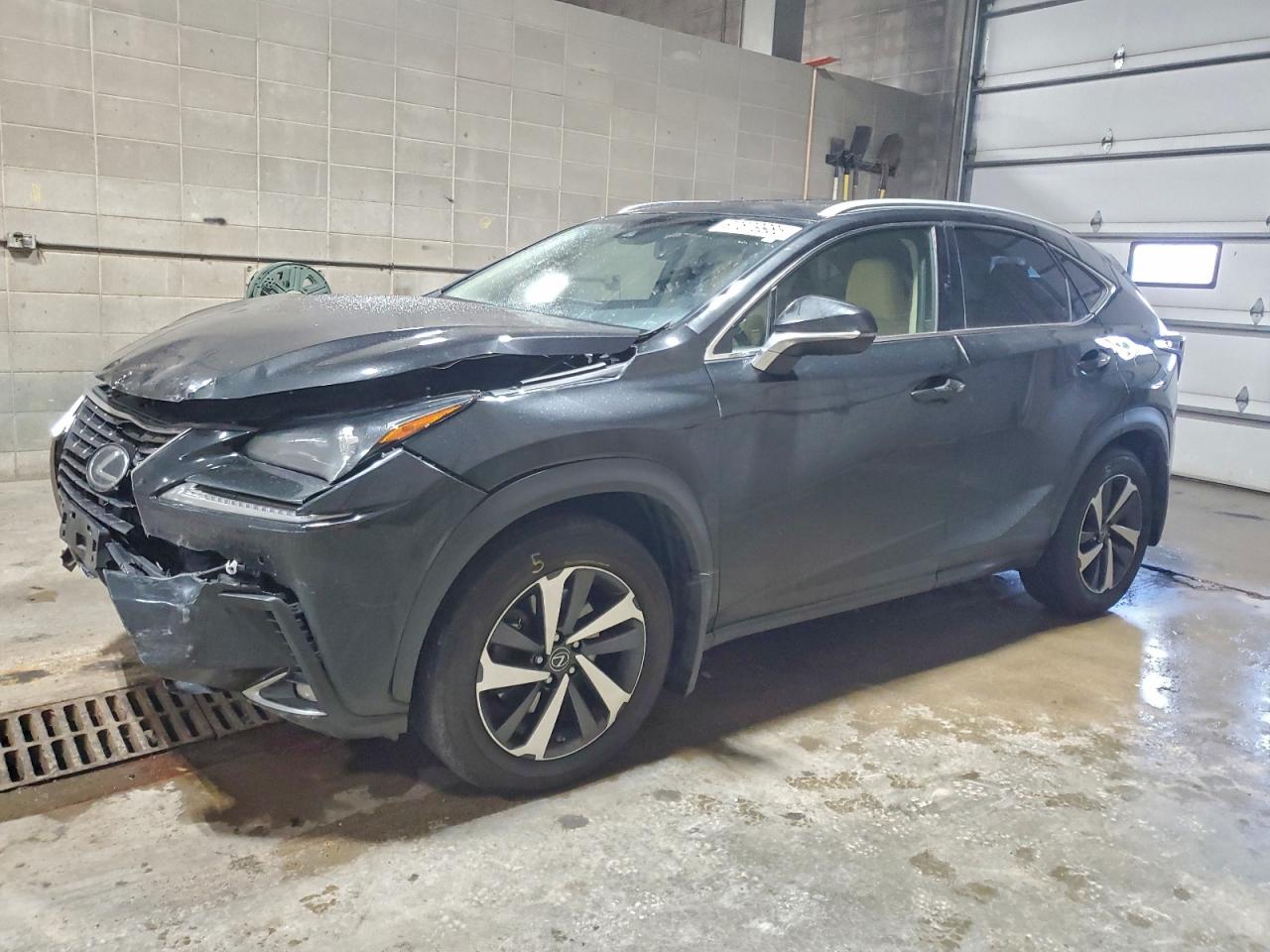 LEXUS NX 2019