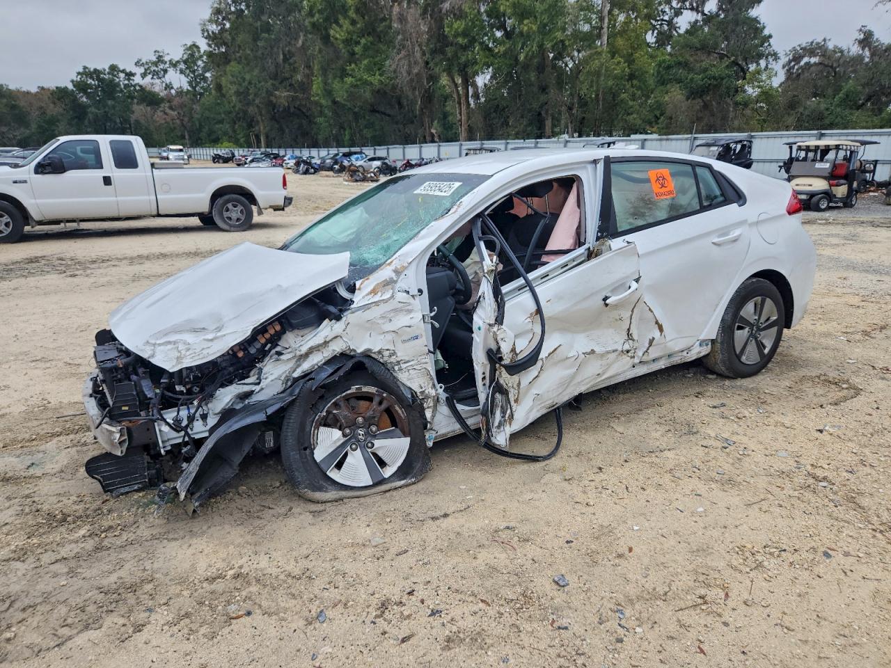 HYUNDAI IONIQ BLUE 2019