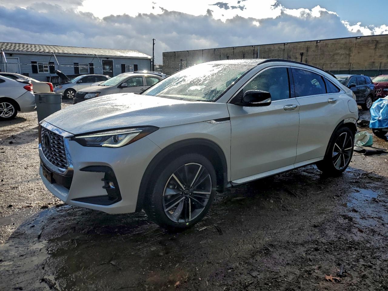 INFINITI QX55 LUXE 2024