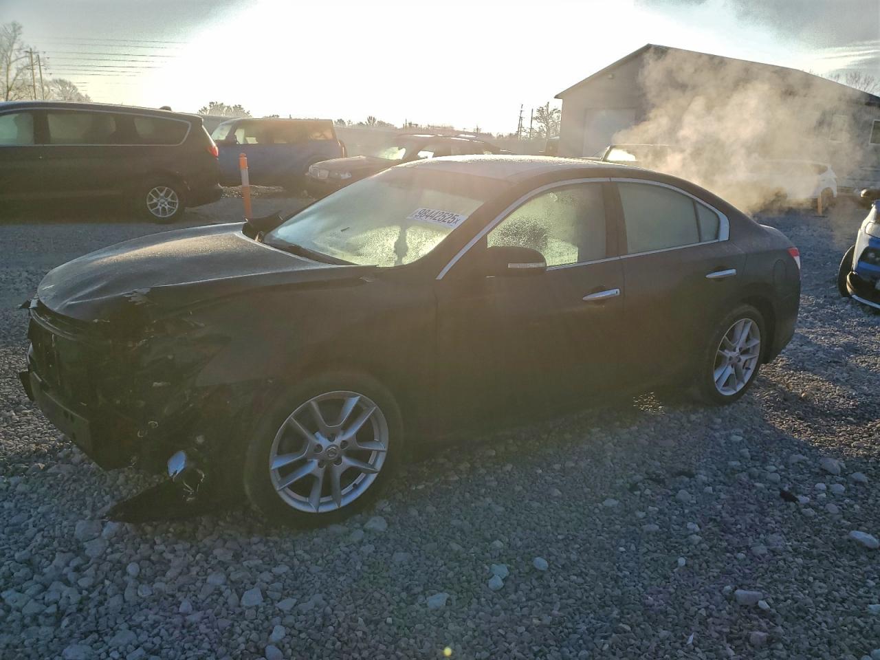 NISSAN MAXIMA 2010