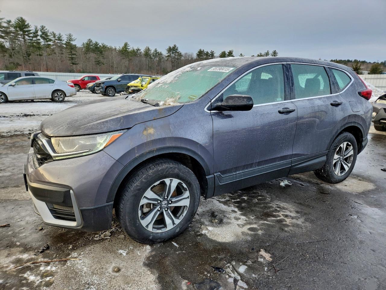 HONDA CR-V LX 2020
