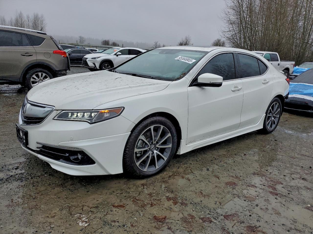 ACURA TLX ADVANC 2015
