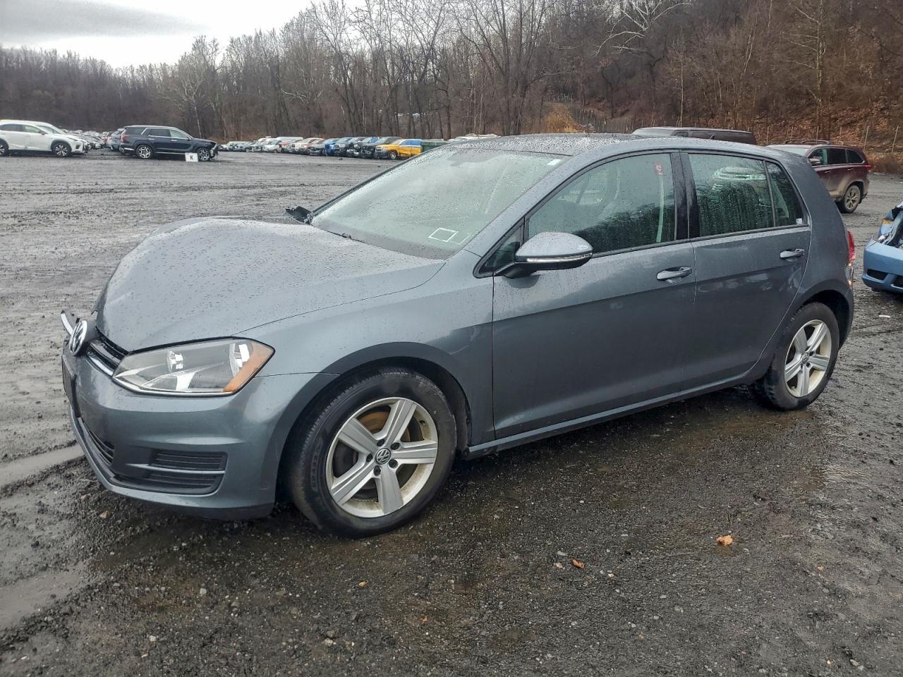 VOLKSWAGEN GOLF S 2017