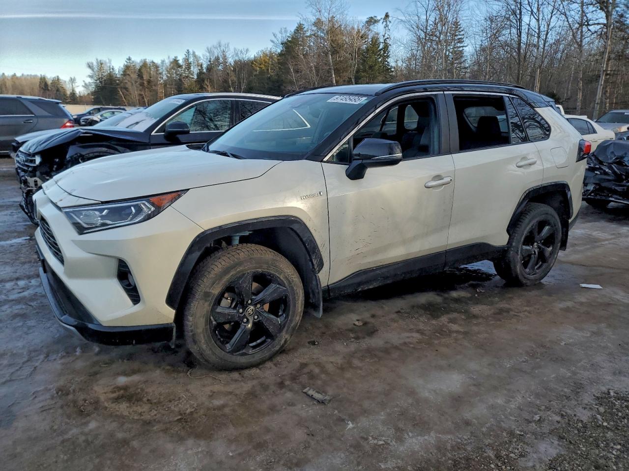 TOYOTA RAV4 2021