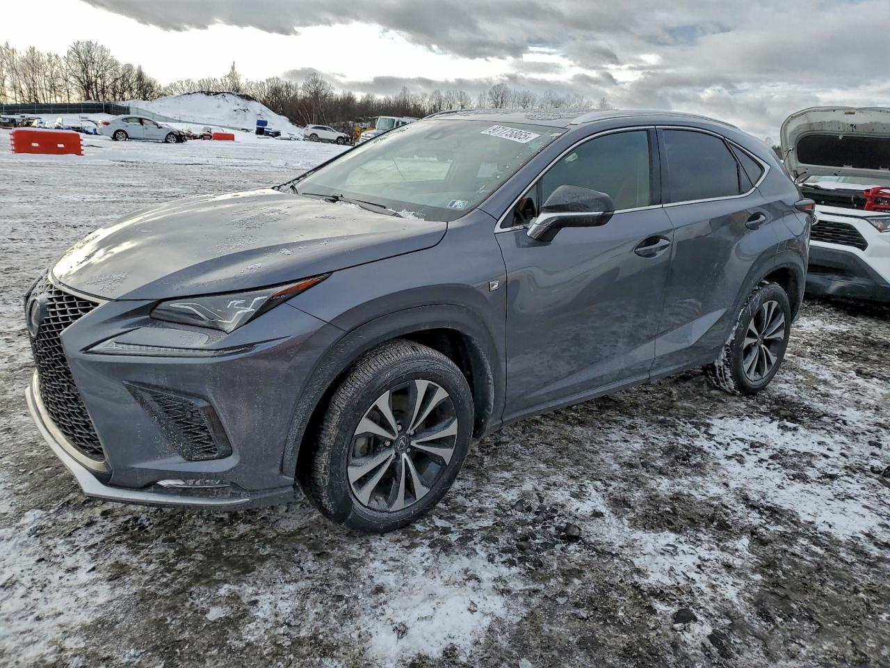 LEXUS NX 2021