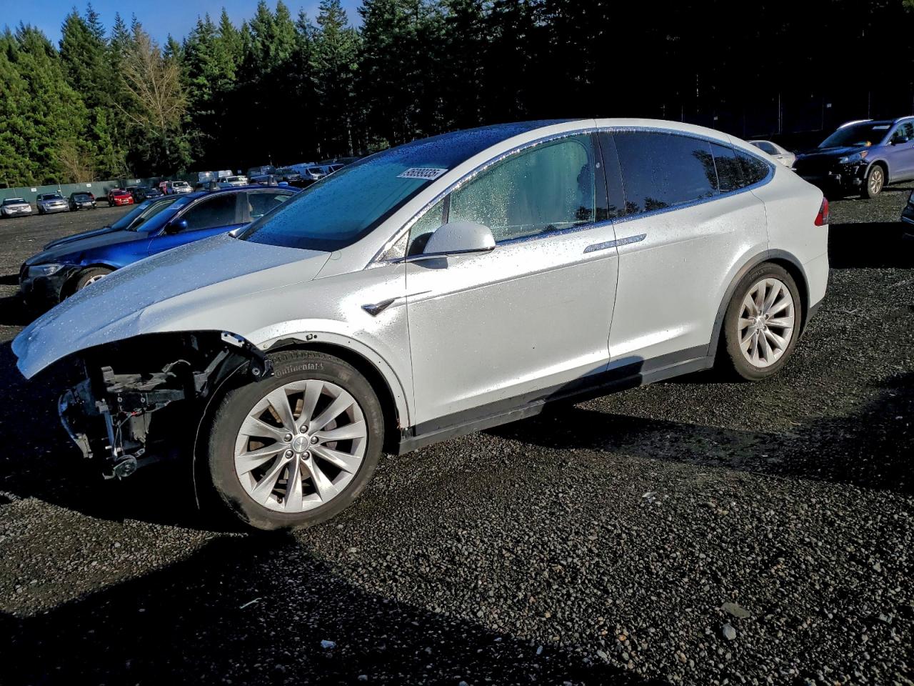 TESLA MODEL X 2018