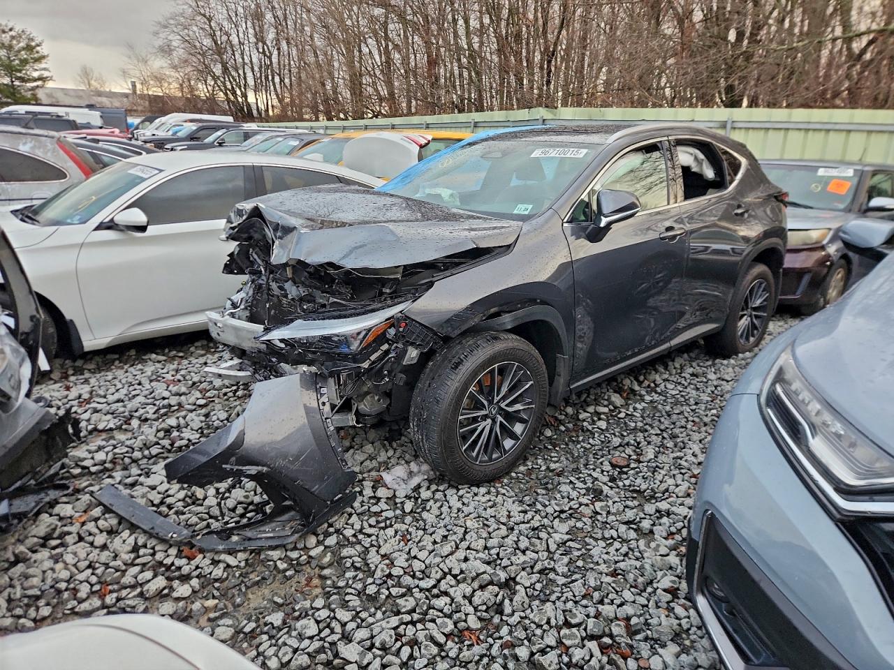 LEXUS NX 2024