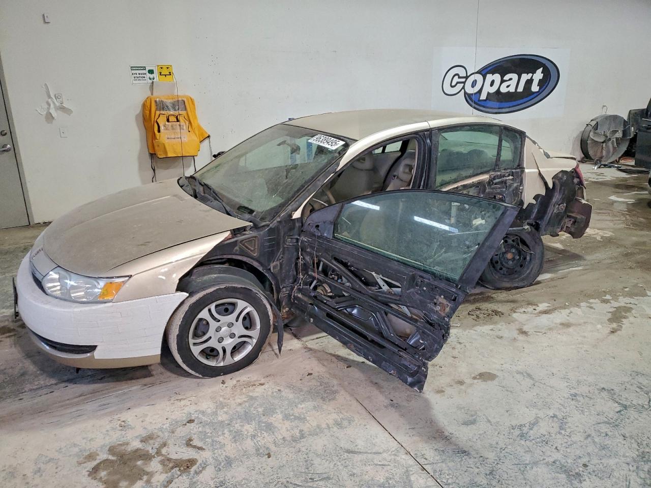 SATURN ION LEVEL 2004