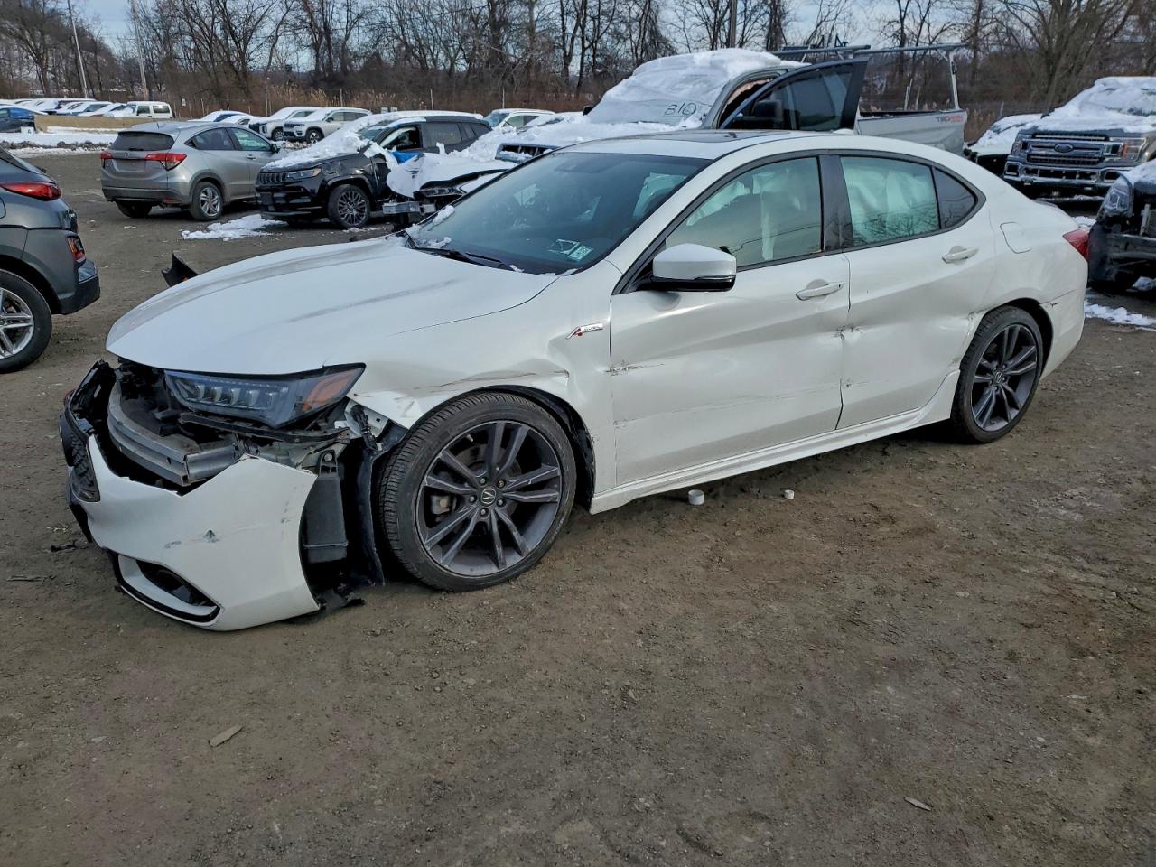 ACURA TLX TECHNO 2019