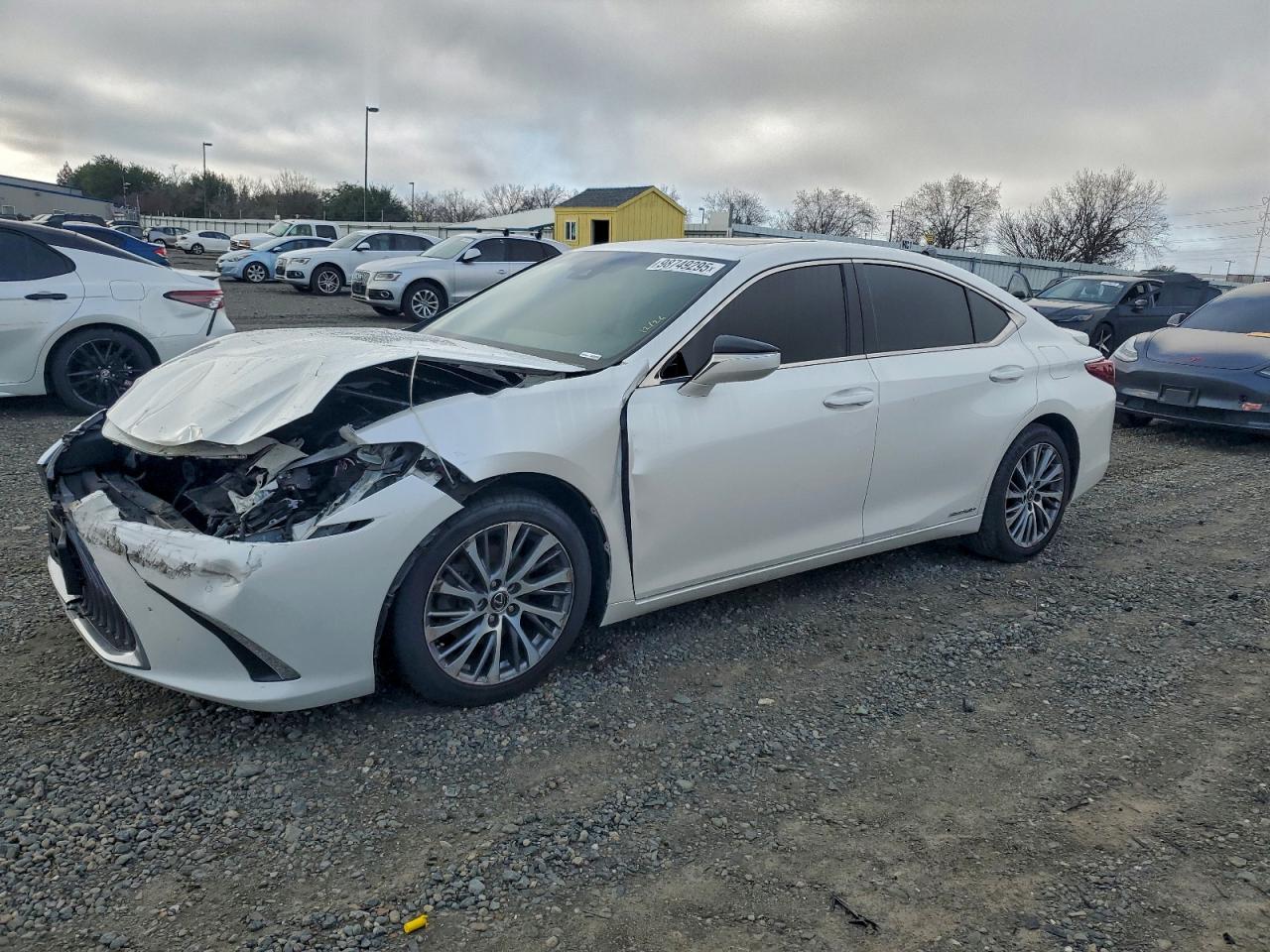 LEXUS ES 2019
