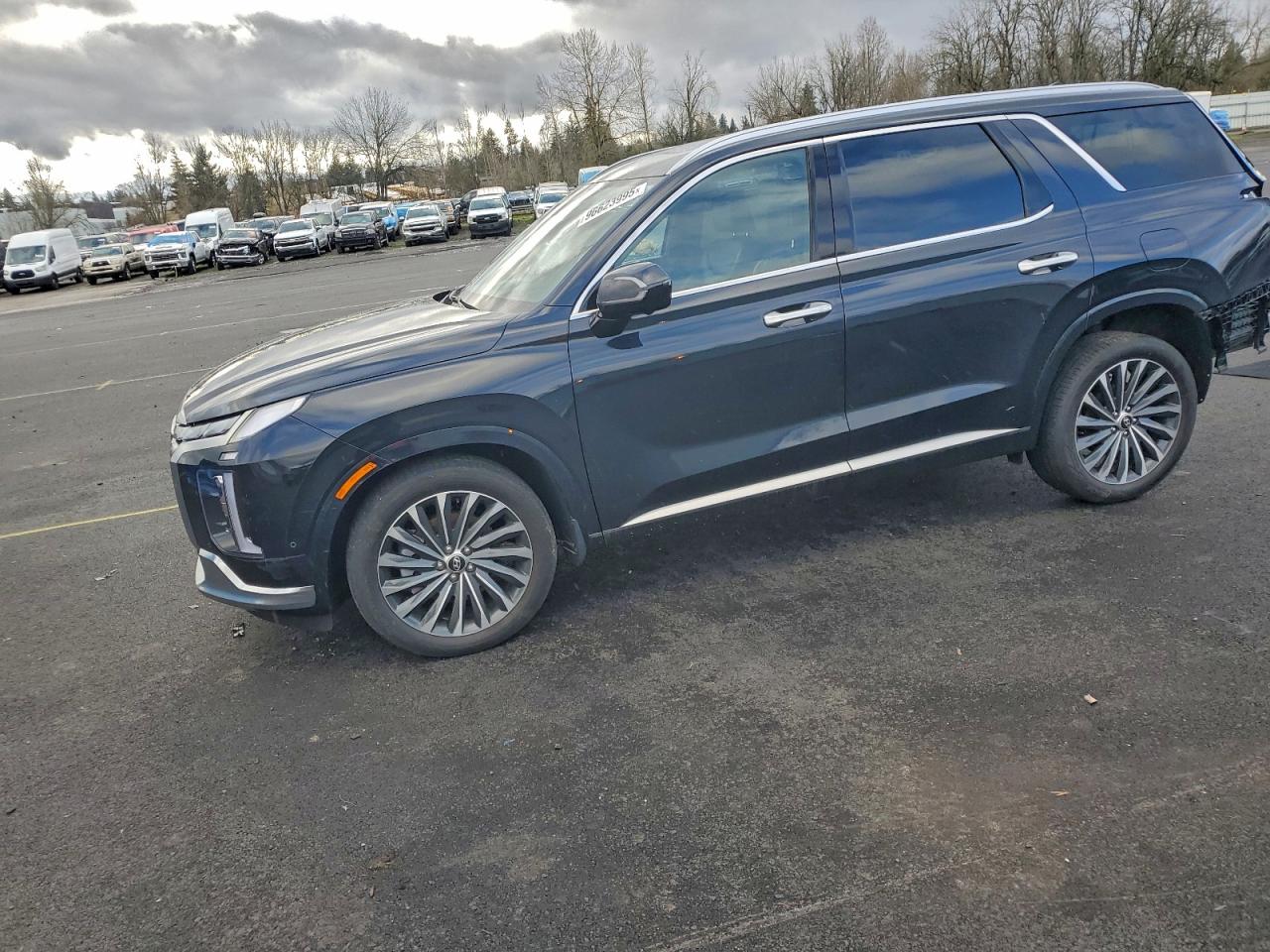 HYUNDAI PALISADE C 2023