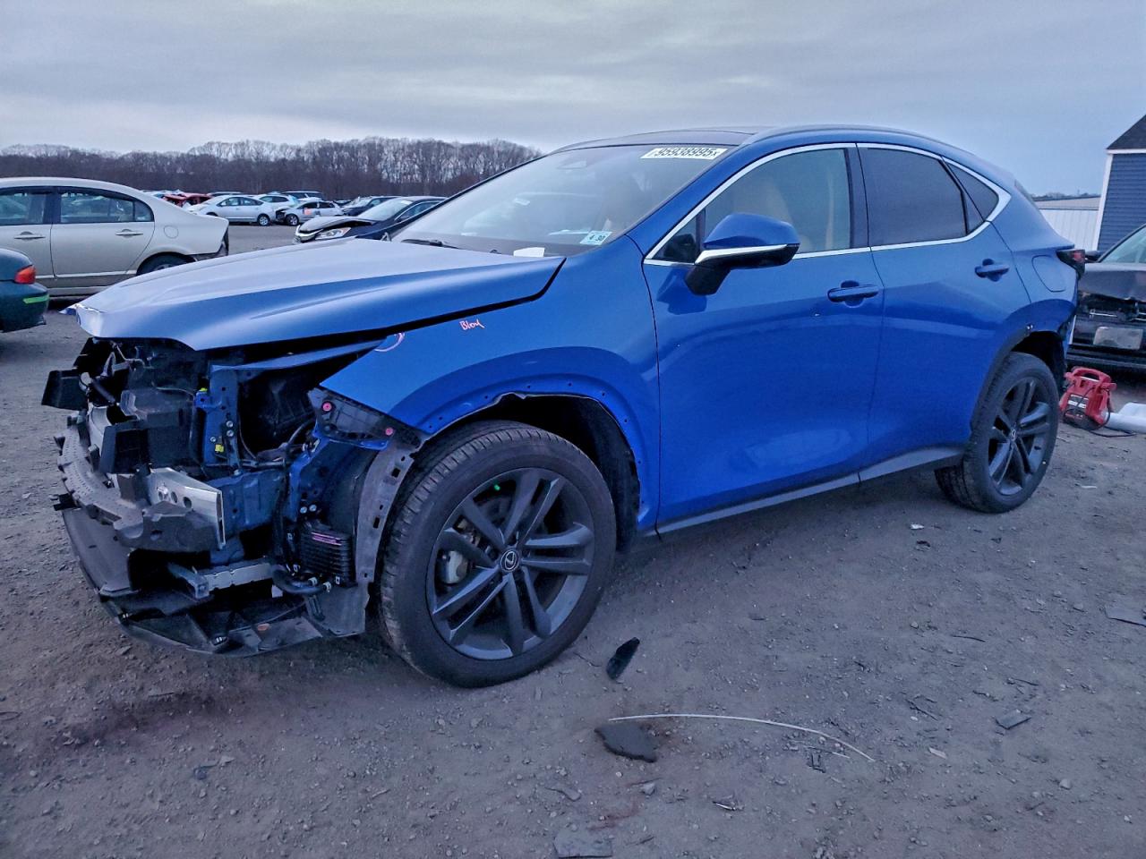 LEXUS NX 2025