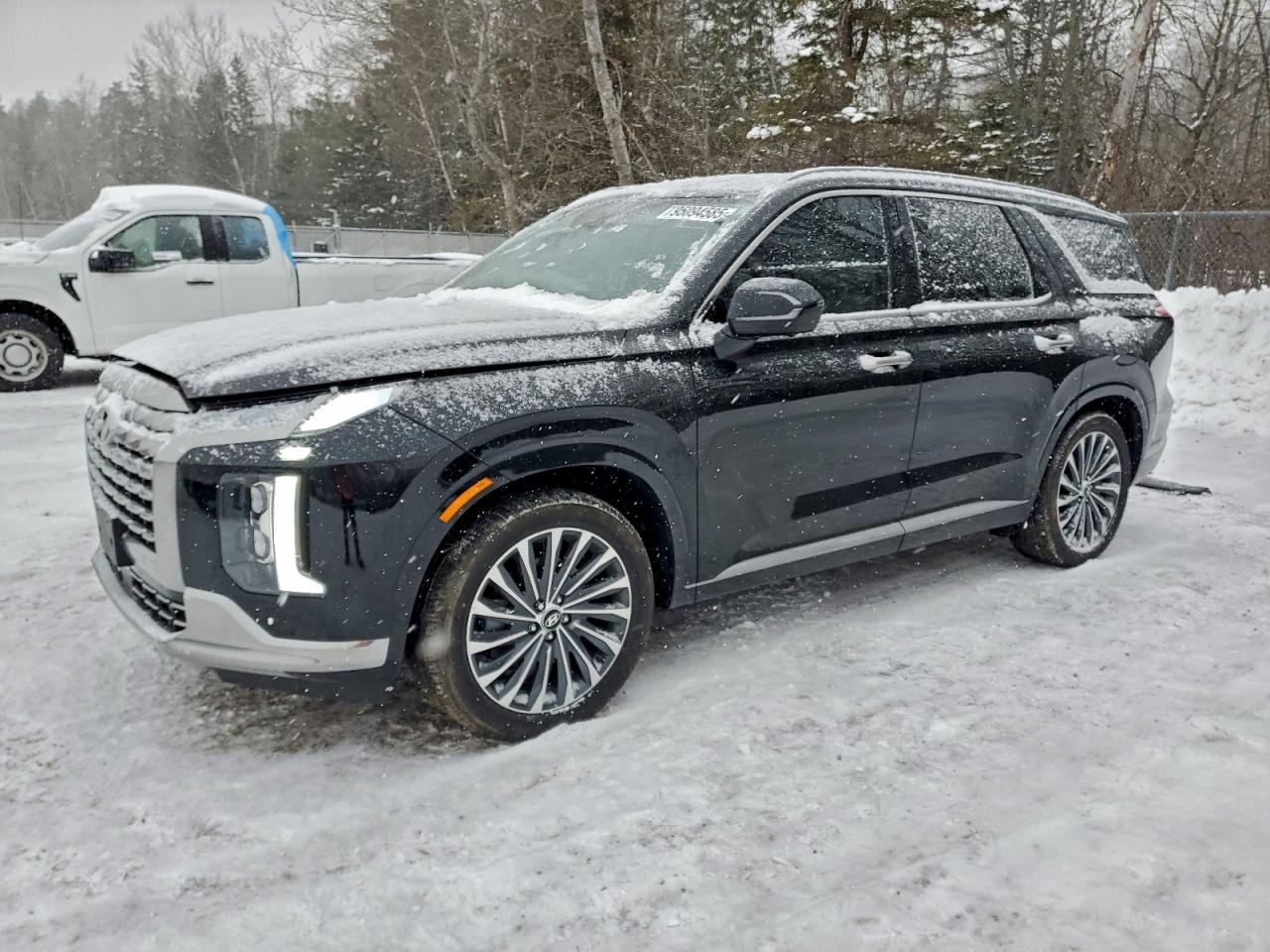 HYUNDAI PALISADE L 2025