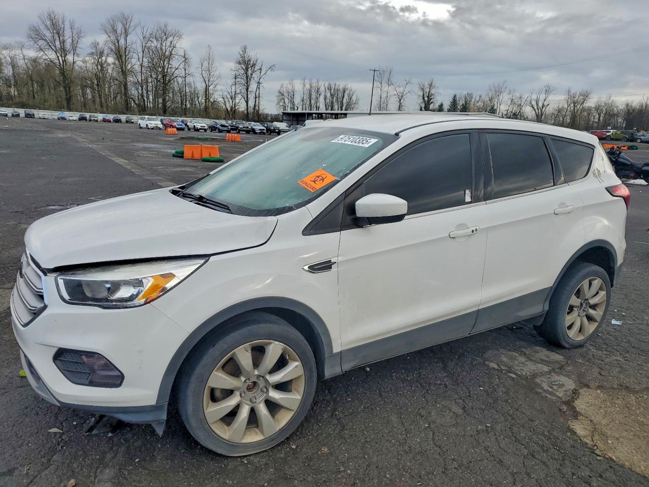 FORD ESCAPE 2019