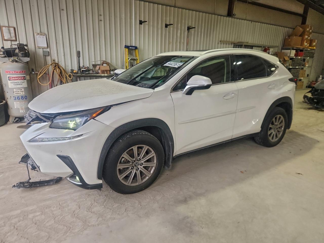 LEXUS NX 2021
