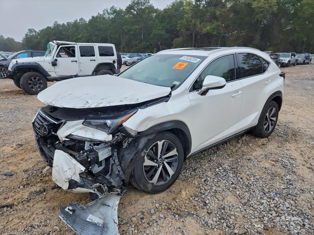 LEXUS NX 2018