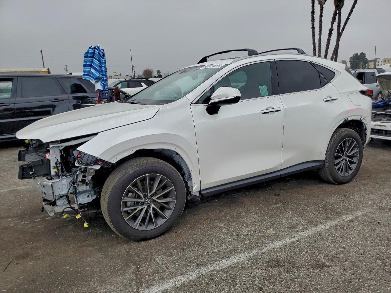 LEXUS NX 2025