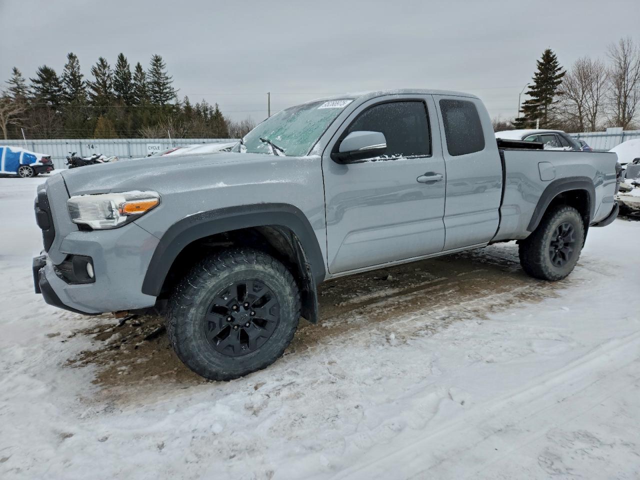 TOYOTA TACOMA ACC 2019