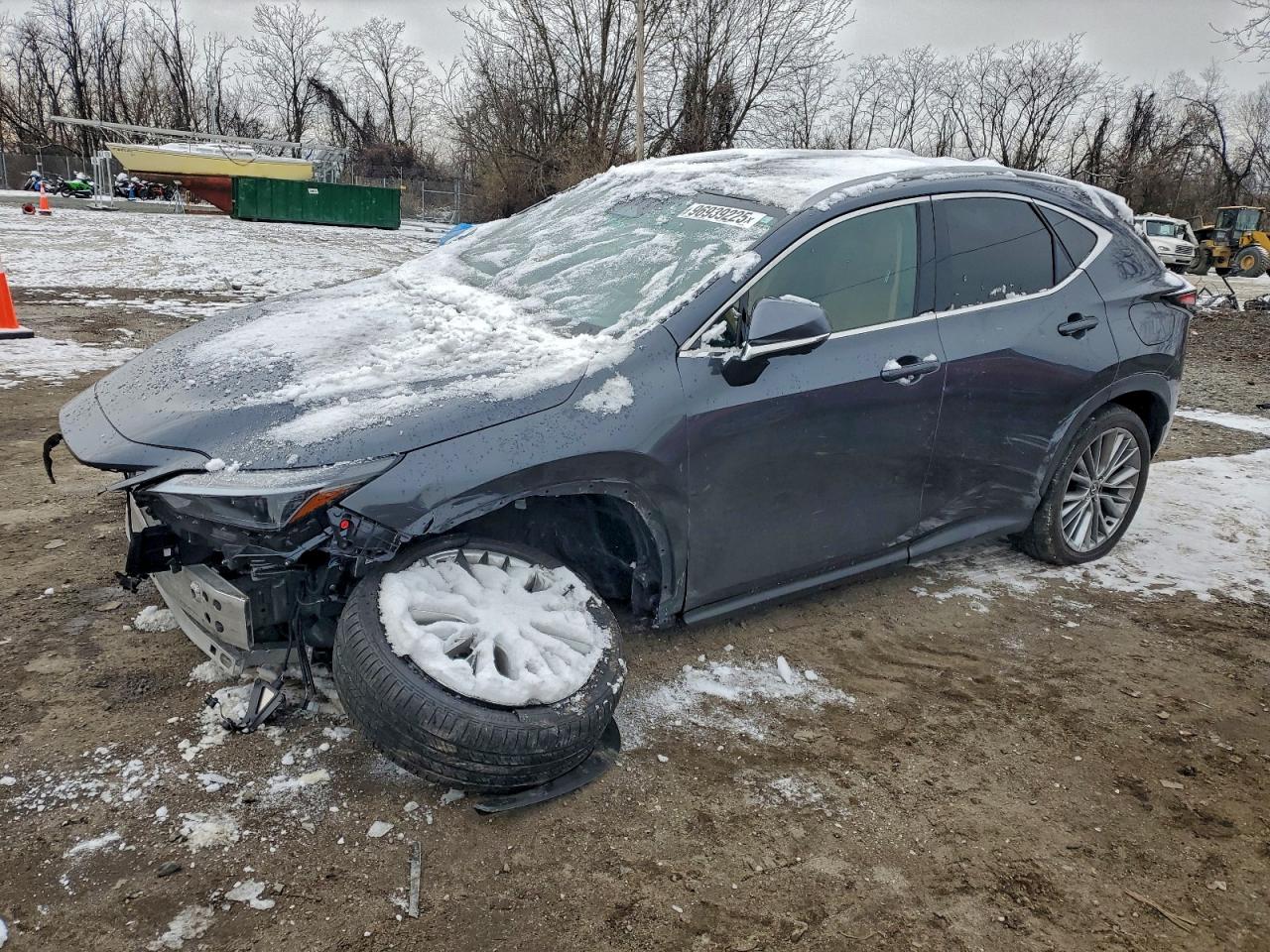 LEXUS NX 2024