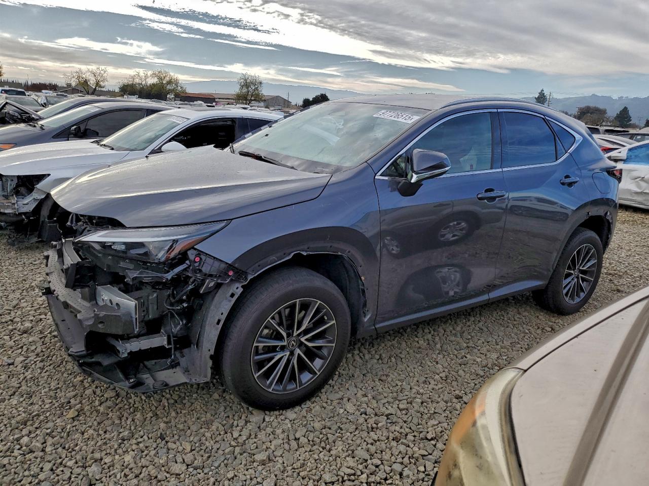 LEXUS NX 2022