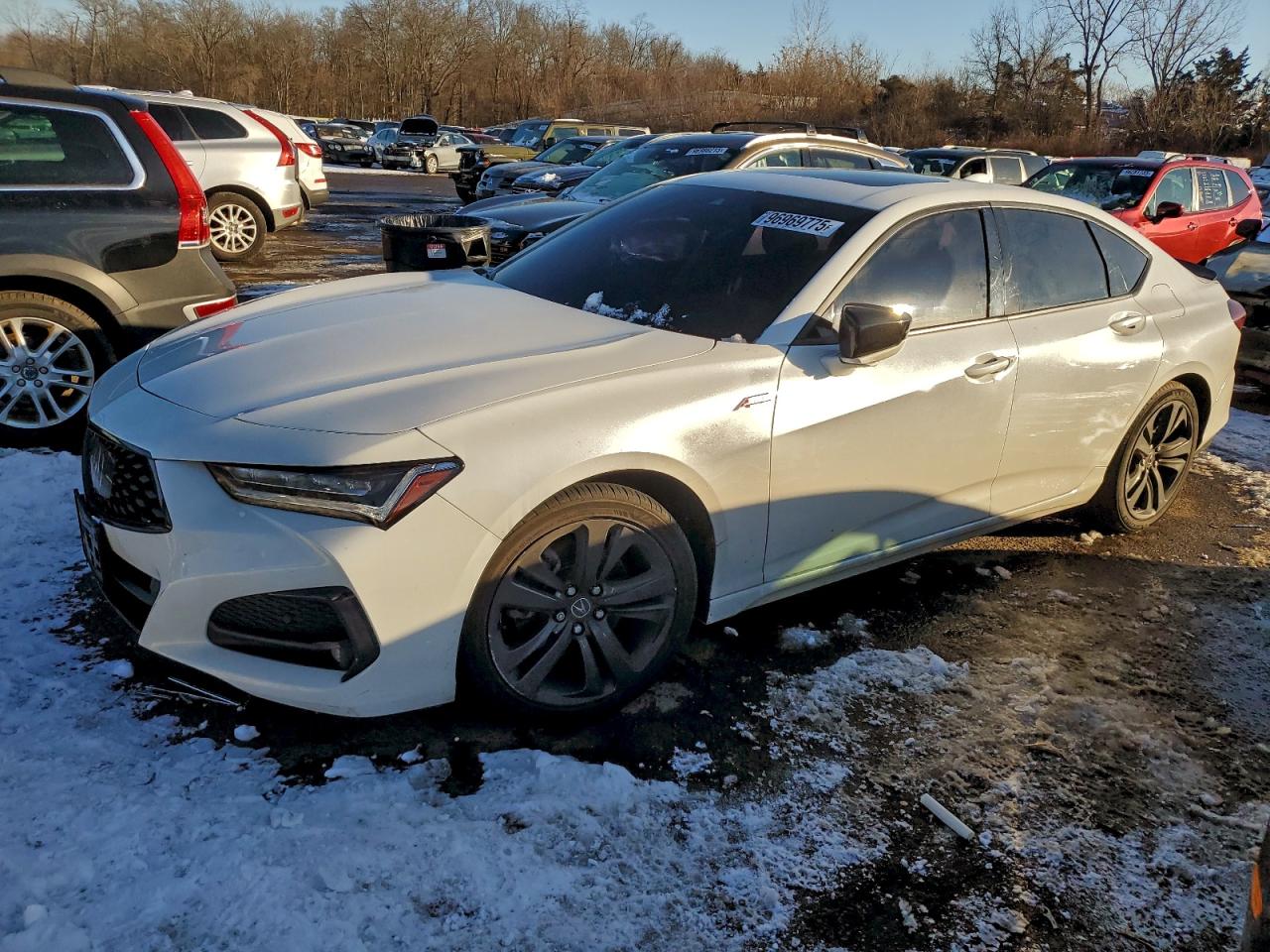 ACURA TLX 2021