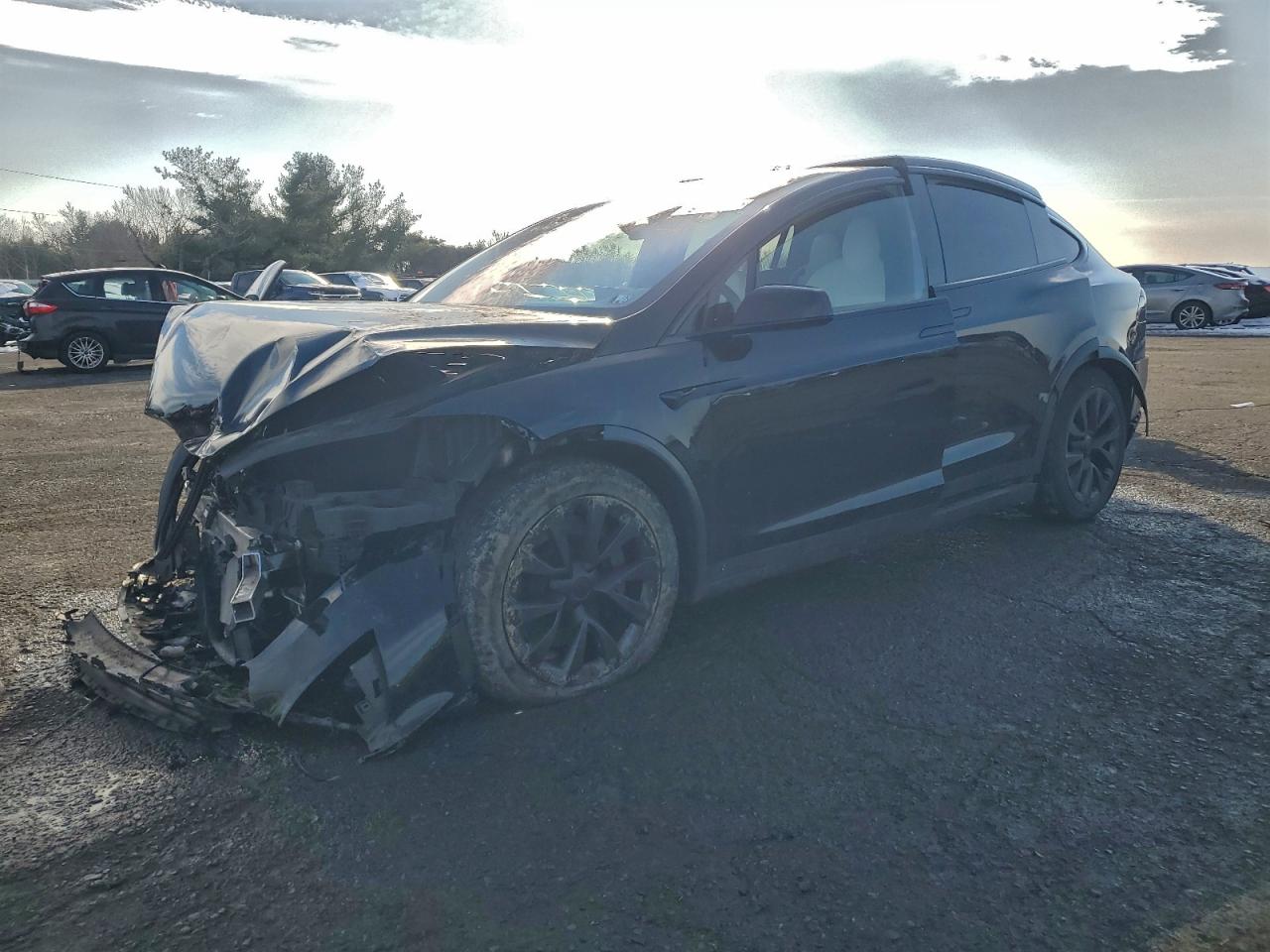 TESLA MODEL X 2024