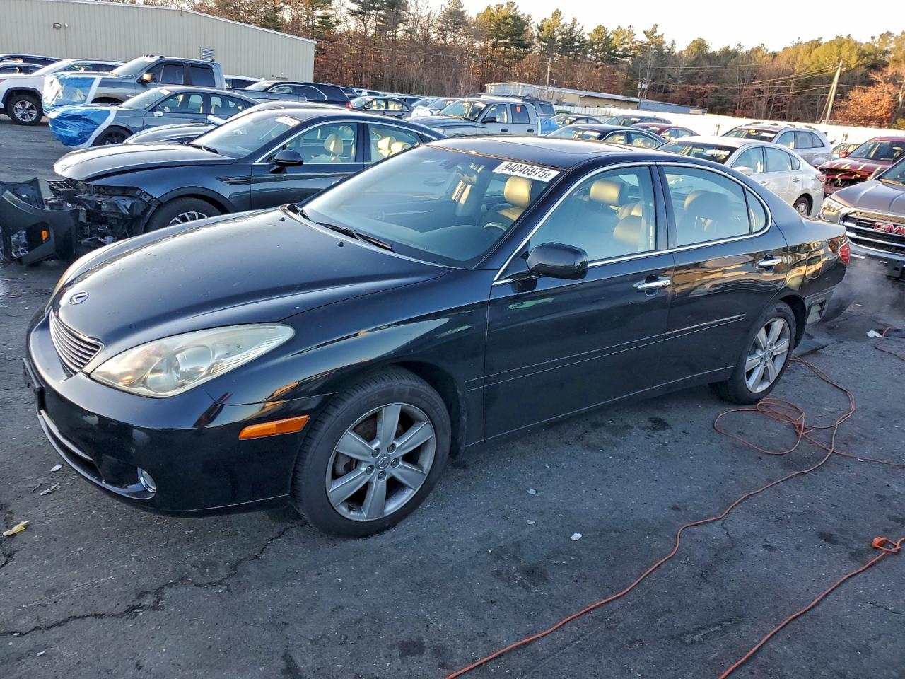 LEXUS ES 330 2005