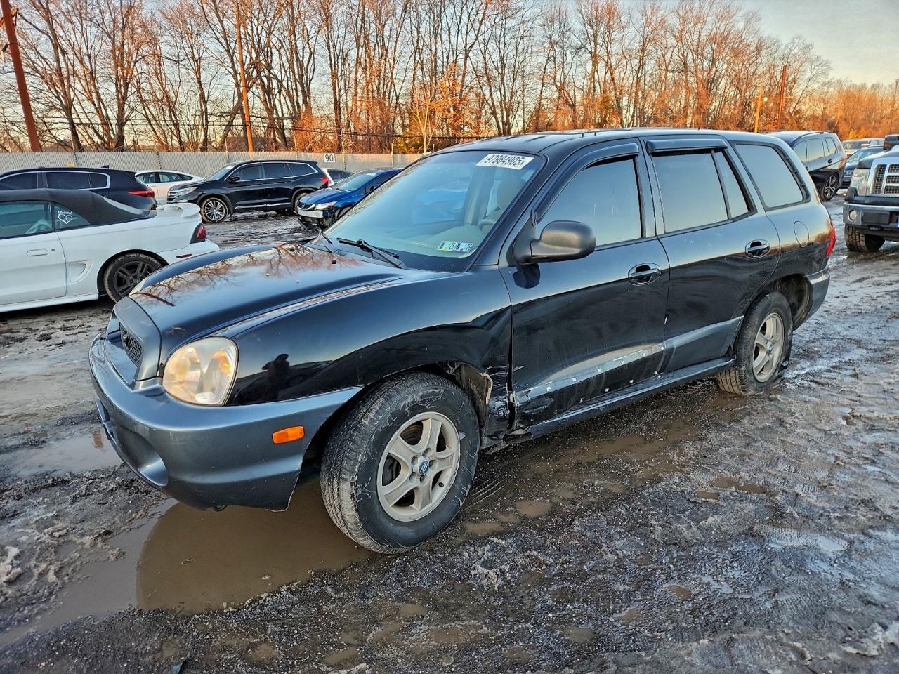 HYUNDAI SANTA FE G 2004