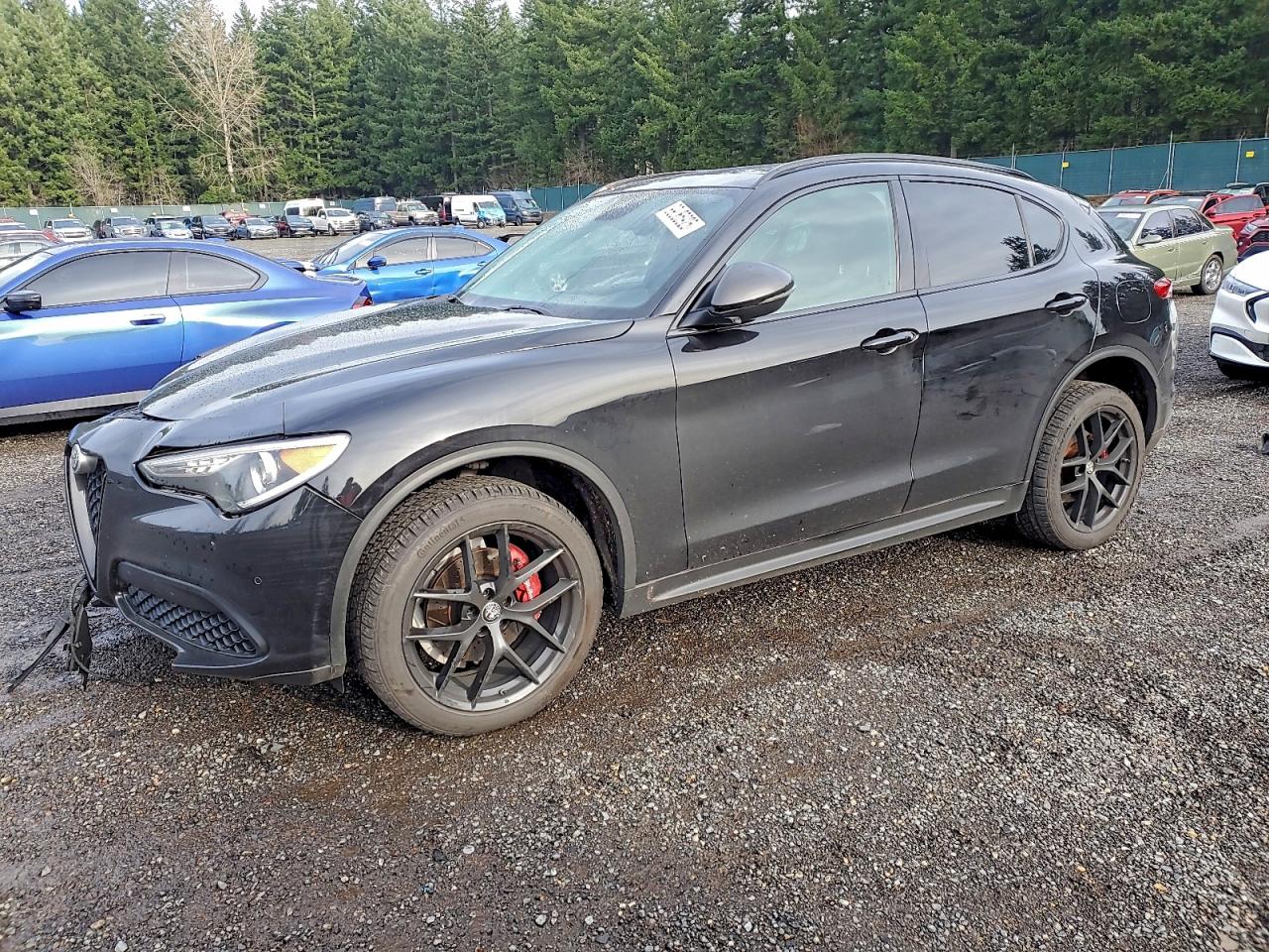 ALFA ROMEO STELVIO TI 2019